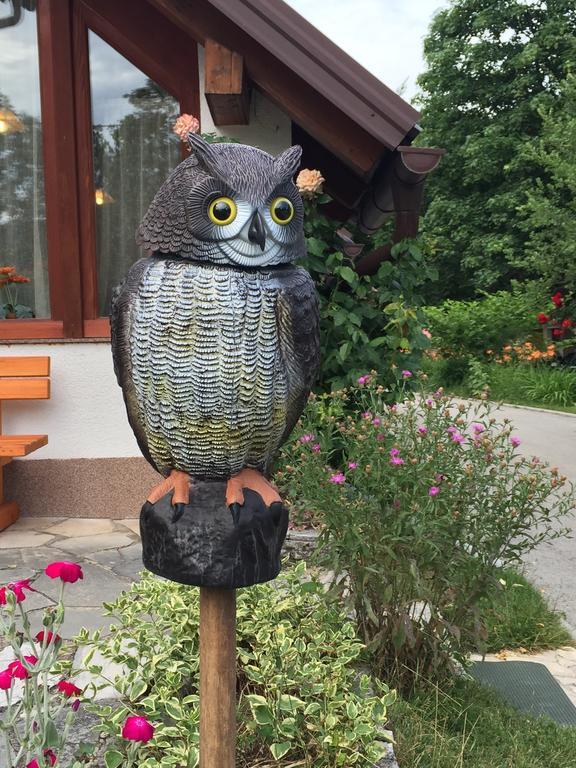House Samardzic Hotel Jezerce Eksteriør billede